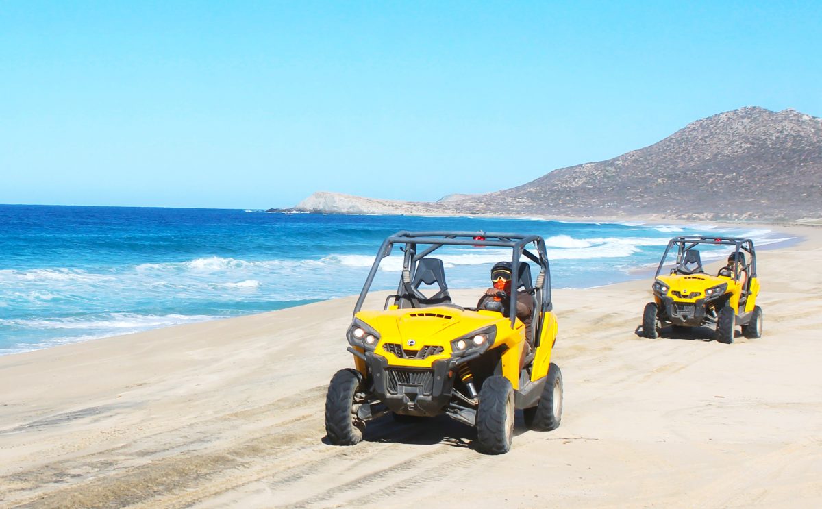 Cabo San Lucas Excursions